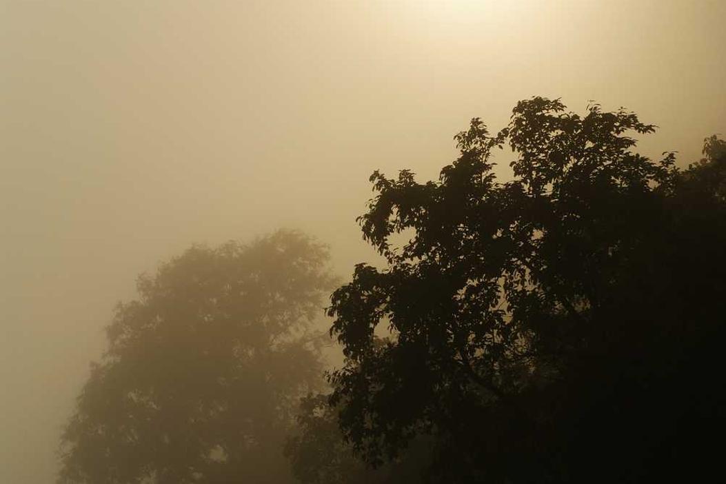 Quaerat voluptatem repellat sint aut