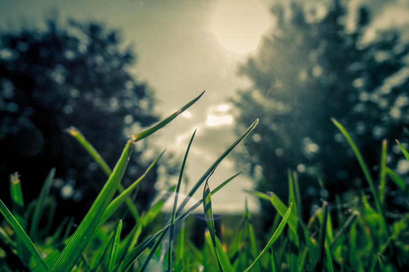 Nobis voluptatem vel