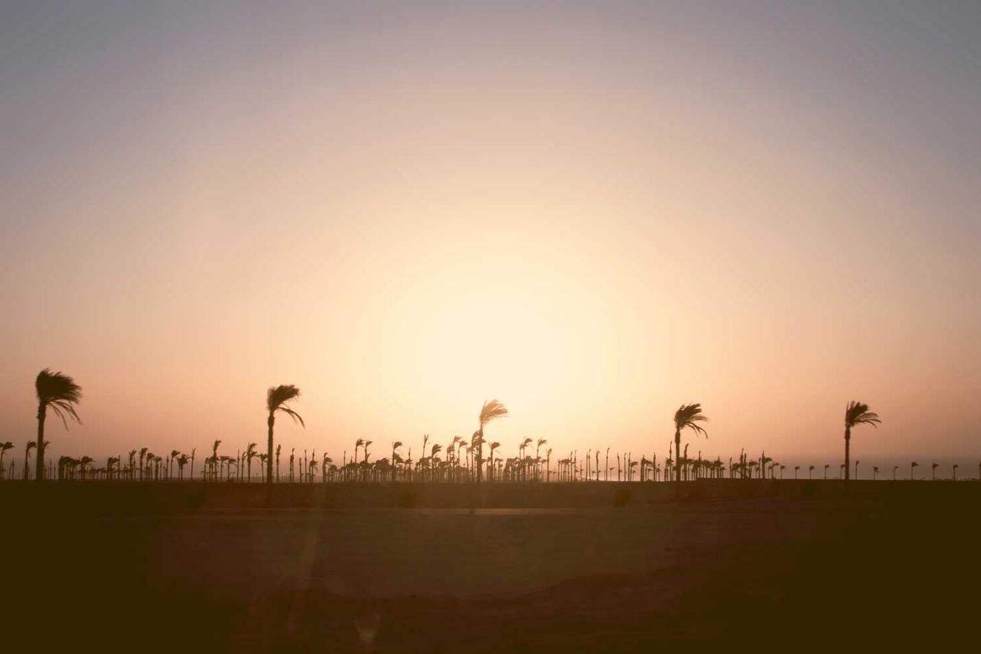 Laudantium eos incidunt quibusdam
