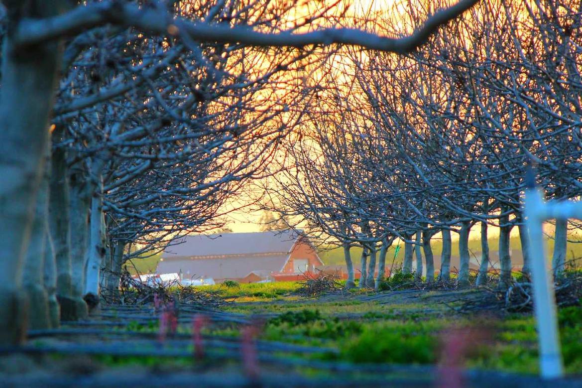 Sed sunt libero magnam