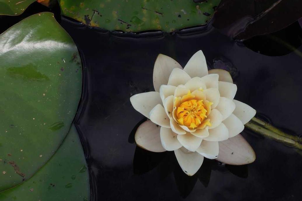 Amet corrupti pariatur