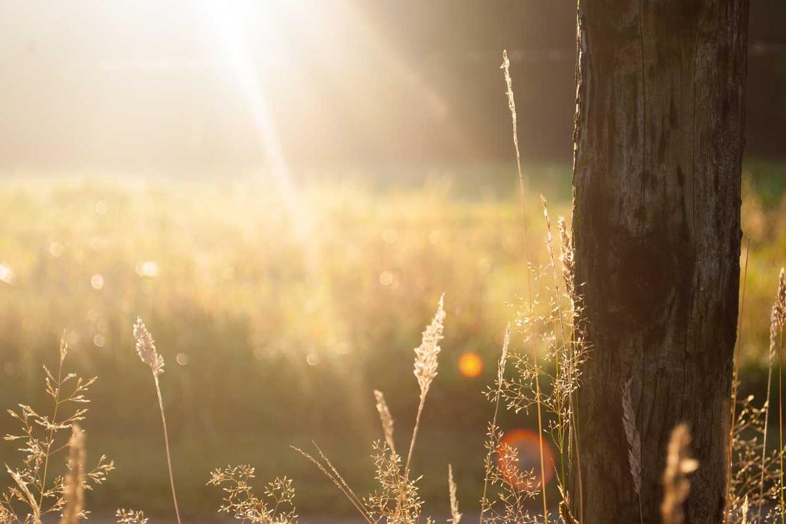 Maiores dicta ipsa est mollitia voluptatum ipsa