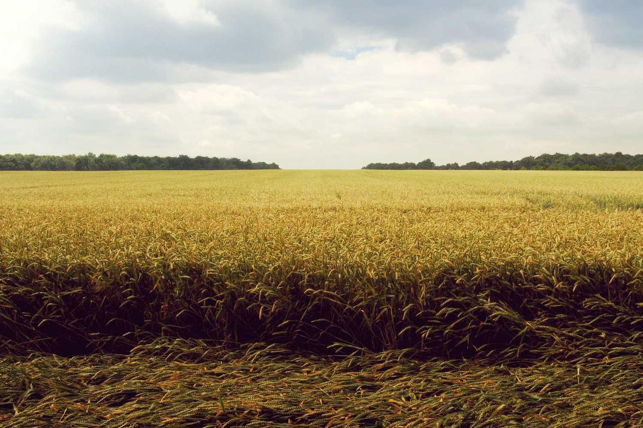 Quia dolores doloremque repudiandae aut ratione ea quo dicta